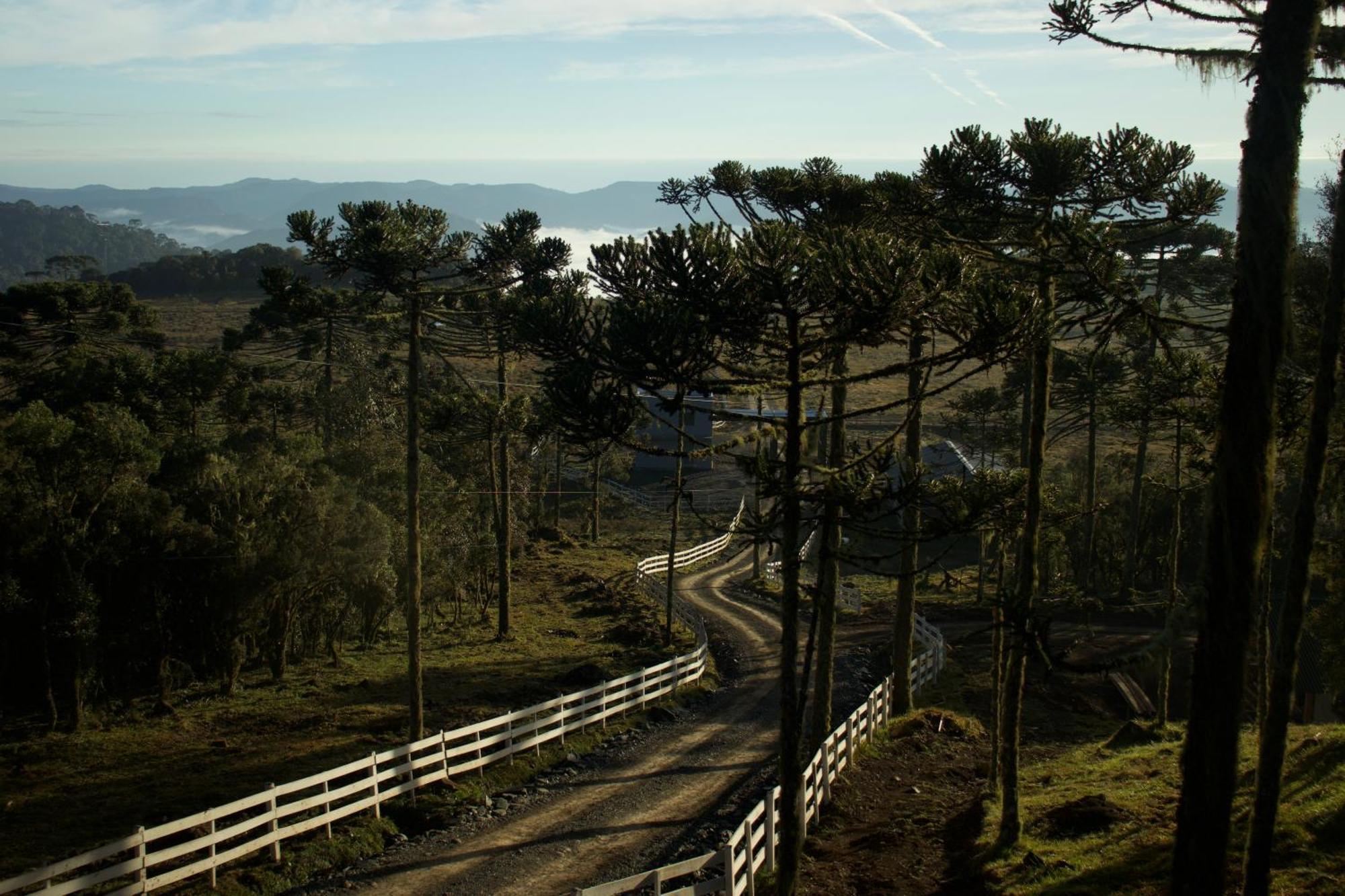 Vale Tancon Eco Village Urubici Kültér fotó