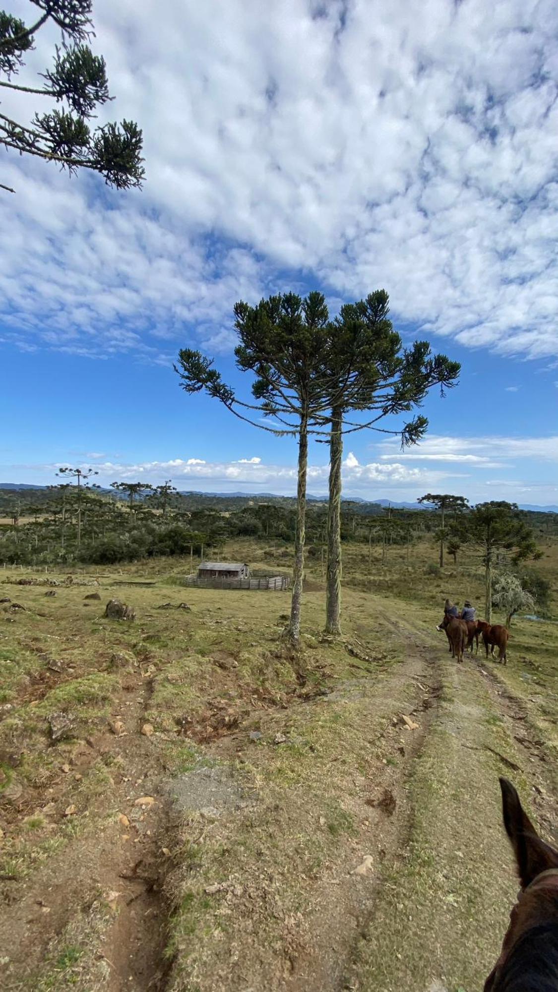 Vale Tancon Eco Village Urubici Kültér fotó